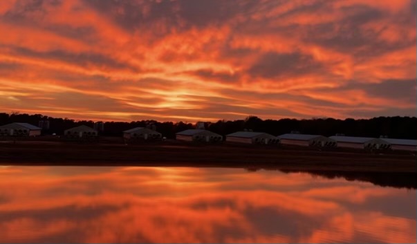 Sunset over lagoon in NC